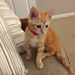 Profile Picture of Elizabeth Sumner (@esumner1220) on Pinterest