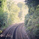 Profile Picture of Gerald Gibson (@mindimaxya) on Instagram