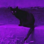 Profile Picture of ʜᴀᴜᴇʟ (@hazellongdawn) on Instagram