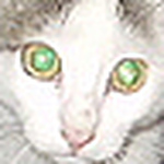 Profile Picture of Alex V (@orange_advan) on Flickr