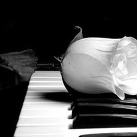 Profile Picture of Mikayla Carson (@mikayla-carson-8) on Quora