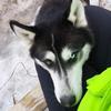 Profile Picture of brian altman (@@brianarealtman) on Tiktok