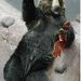 Profile Picture of David Fenwick (@davidlfenwick) on Pinterest