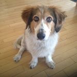 Profile Picture of Kelly Surette (@kelly_surette) on Instagram