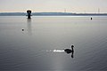 Profile Picture of Grafham Water - Wikipediaon Wikipedia
