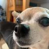 Profile Picture of DavidIsTough (@@davidistough) on Tiktok