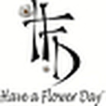 Profile Photo of Have A Flower Day (@have a flower day) on Flickr