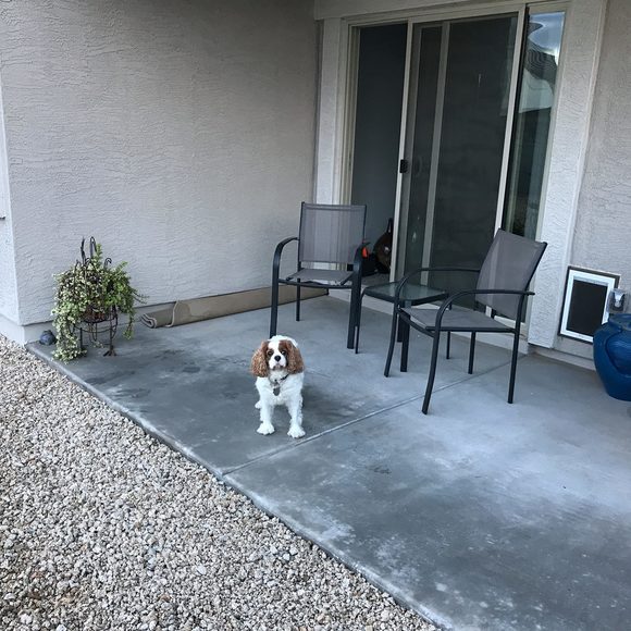 Profile Picture of Charles Nesselhauf (@nesselhaufs) on Poshmark