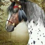 Profile Picture of Cindy Pelt (@cindy_pelt1964yahoo.com_) on Instagram