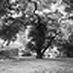 Profile Picture of Hugo Yuri Elias (@hugo_yuri) on Flickr