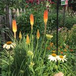 Profile Picture of James Gettles (@billyjames74) on Instagram