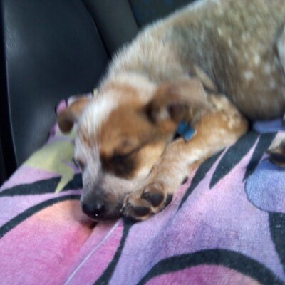 Profile Picture of Nora Fay (@dexplorer88) on Twitter