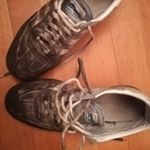 Profile Picture of Sven Gottlieb (@entebob) on Instagram