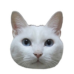 Profile Picture of Ting-yu Tseng (@kaafkaa) on Flickr