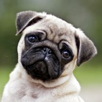 Profile Picture of Meagan Lester (@meagan-lester-2) on Quora