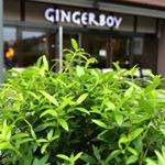 Profile Picture of Gingerboy (@gingerboy.de) on Instagram