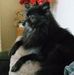 Profile Picture of Kevin Weir (@kevin.weir.526) on Facebook