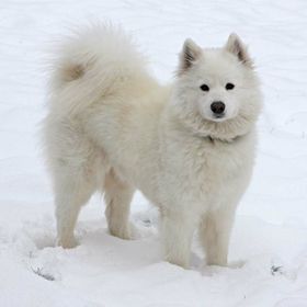 Erin Sitterley - Pinterest Profile Picture of Erin Sitterley (@missuserin) on Pinterest