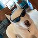Profile Picture of Silas Schwake (@silas.schwake.1) on Facebook