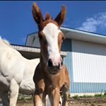 Profile Picture of danielle (@danielle_gamache2002) on Instagram