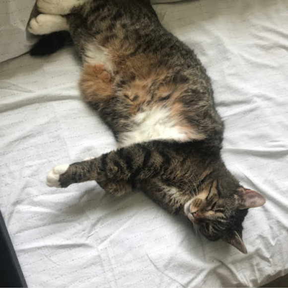 Profile Picture of Jessica Bevier (@jessica_bevier) on Poshmark