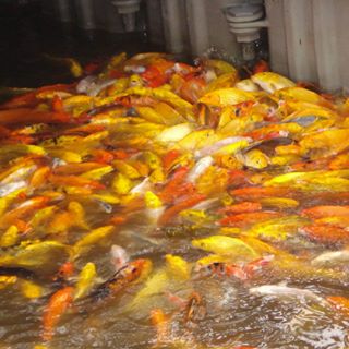 Profile Picture of Armando Ashley (@armando.ashley.7) on Facebook