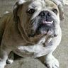 Profile Picture of Gilbert Partida (@gilbertp0338) on Pinterest