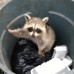 Profile Picture of Eric Elterman (@ericelterman) on Instagram