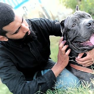 Profile Picture of Haney Chohan (@Haney-Chohan) on Facebook