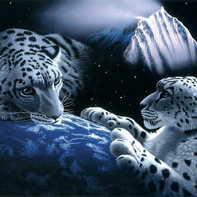 Profile Picture of David Sunter (@dasunter) on Twitter