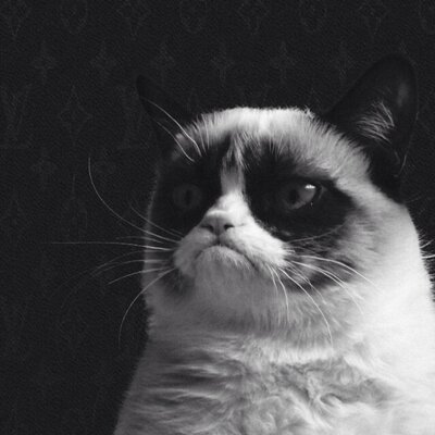 Profile Picture of Alexander Foran (@a_foran) on Twitter