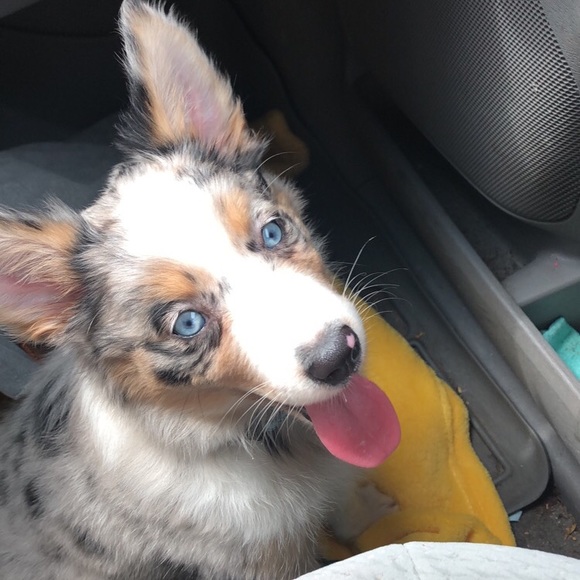 Profile Picture of Kyleigh Waggett (@kyleigh9) on Poshmark