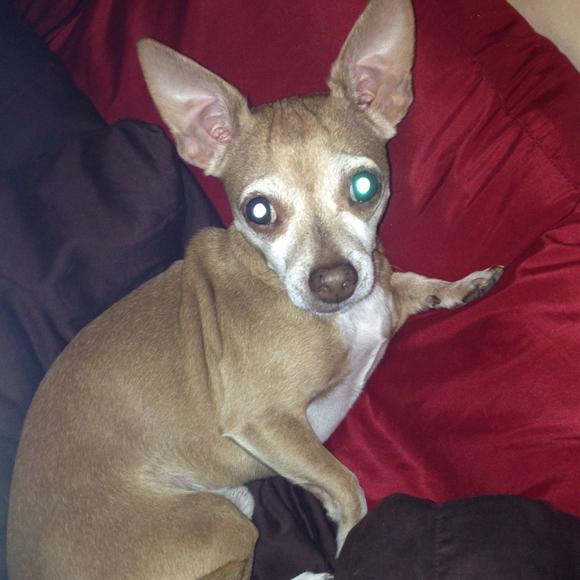 Stephanie Danese - Poshmark Profile Picture of Stephanie Danese (@sdanese81) on Poshmark