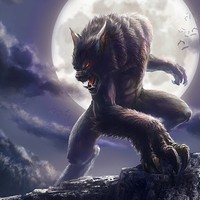 Profile Picture of Kyle Beliveau (@kyle-beliveau-1) on Quora