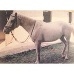 Profile Picture of Bernice Wade (@unoweragro) on Instagram