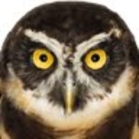 Profile Picture of Sergey Aranovsky (@sergey-aranovsky) on Quora