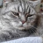 Profile Picture of Jasmin Friedmann (@jasminfriedmann) on Instagram