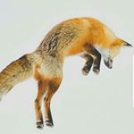 Profile Picture of Michael Greiner (@marblescout) on Instagram