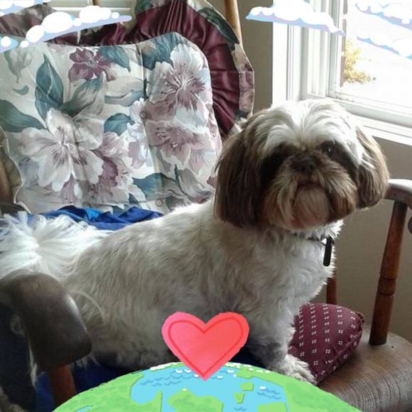 Profile Picture of Nancy Wojcik (@nancywojcik) on Poshmark