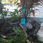 Profile Picture of Scott Mencken (@scott_mencken) on Instagram