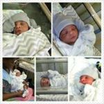 Profile Picture of Gary Hanna Jr. (@garyhannajr) on Instagram