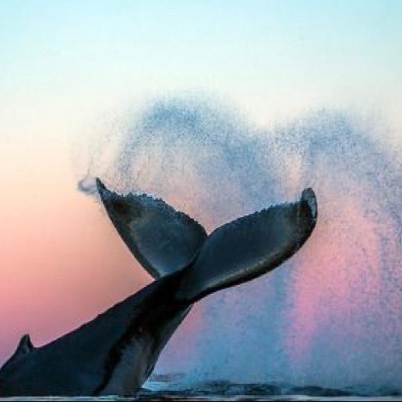 Parker Bartholomaus - Poshmark Profile Picture of Parker Bartholomaus (@peb_13) on Poshmark