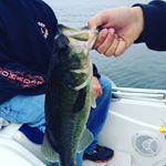 Profile Picture of Jason Allaire (@jayallaire) on Instagram