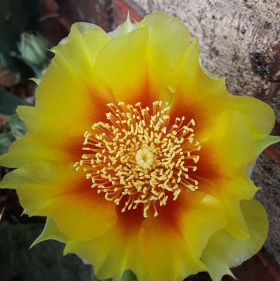 Christine Codalata hull - Poshmark Profile Picture of Christine Codalata hull (@christinehull57) on Poshmark