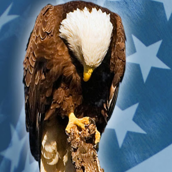 Profile Picture of Brian Brown (@brianbrown2282) on Poshmark