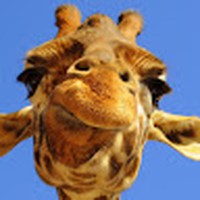 Profile Picture of Austin Hennessy (@austin-hennessy-4) on Quora