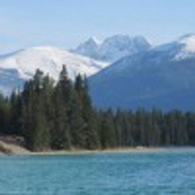 Rocky Bear Gifts - Twitter Profile Picture of Rocky Bear Gifts (@RockyBearGifts) on Twitter