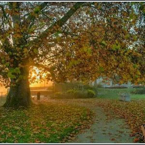 Profile Picture of Brian Baldwin (@brian.baldwin85) on Tiktok