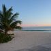Profile Picture of Allison Hinds (@achinds79) on Pinterest