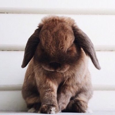 Profile Picture of Yiiyii_ni (@hMQW1jsFL9aPYdo) on Twitter